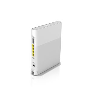 Optical Network Terminal