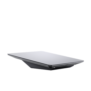 STARLINK - Performance (Gen 2)